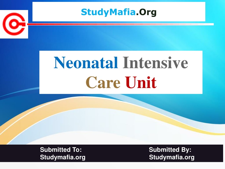 studymafia org n.w