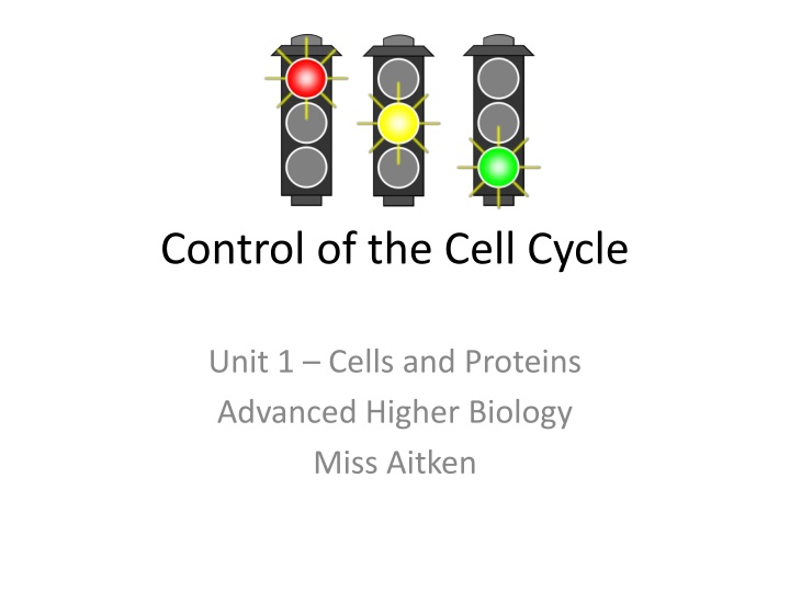 control of the cell cycle n.w