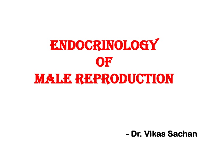 endocrinology endocrinology of of male n.w