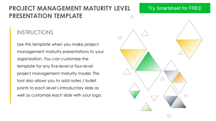 Project Management Maturity Level Presentation Template