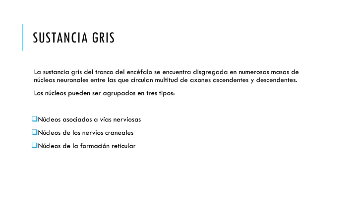 sustancia gris n.w