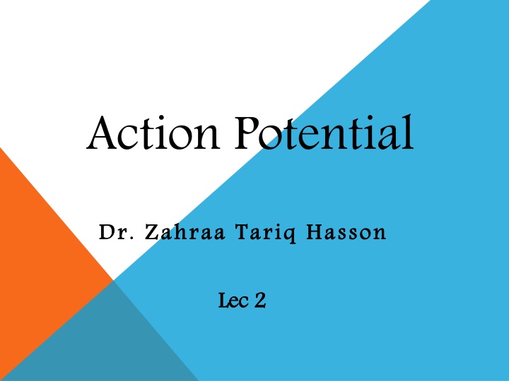 action potential n.w
