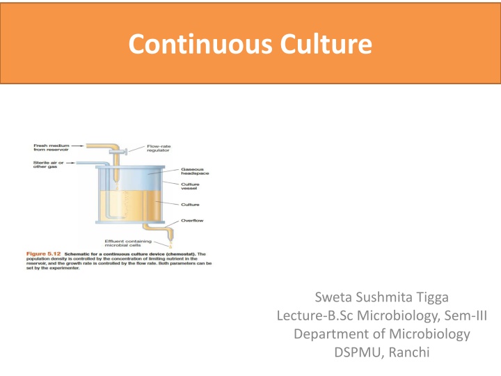 continuous culture n.w