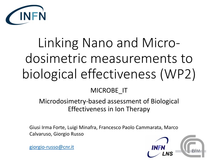 Microdosimetry-based Assessment of Biological Effectiveness in Ion Therapy