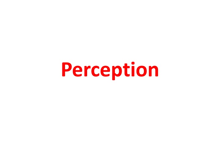 perception n.w