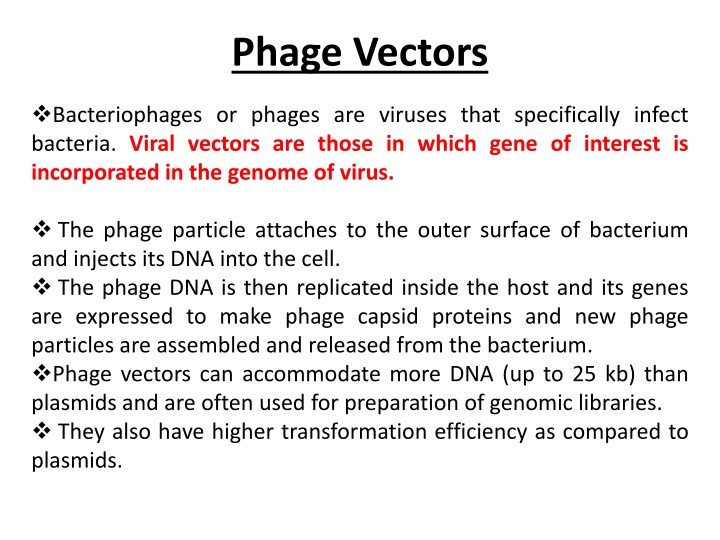 phage vectors n.w