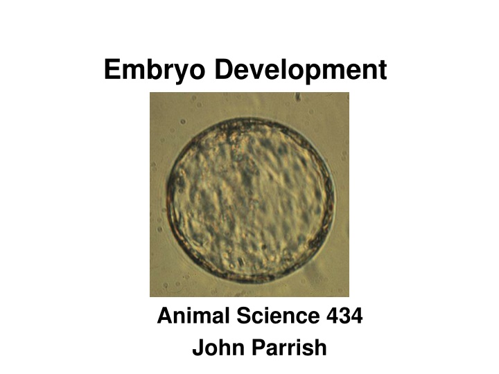 Embryo Development and Fertilization in Animal Science