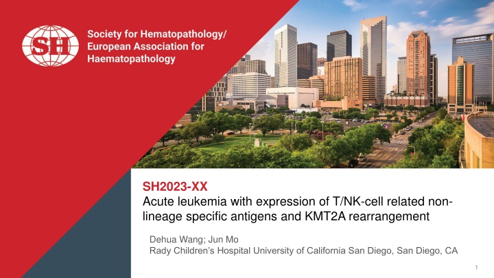 sh2023 xx acute leukemia with expression n.w