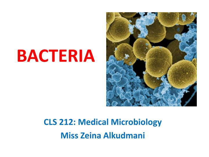 bacteria n.w