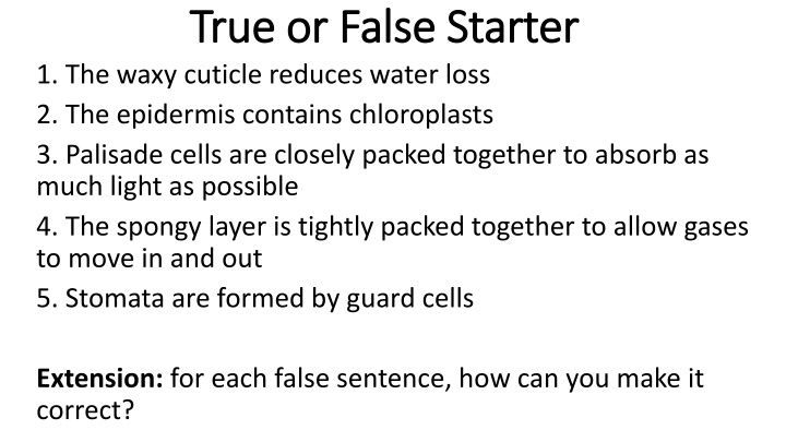 true or false starter true or false starter n.w