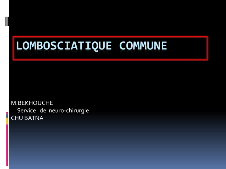 lombosciatique commune n.w