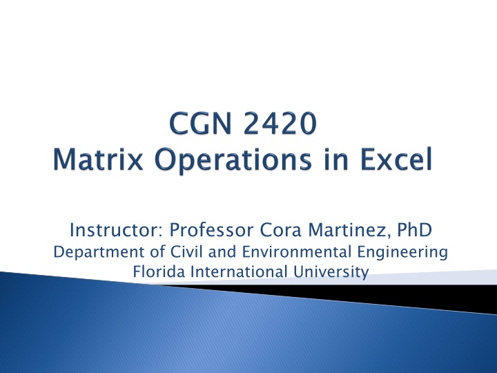 instructor professor cora martinez phd department n.w
