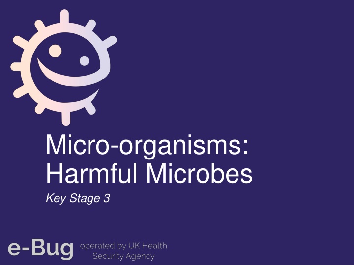 Harmful Microbes and Infectious Diseases