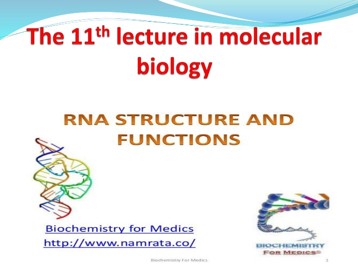 slide1 n.w