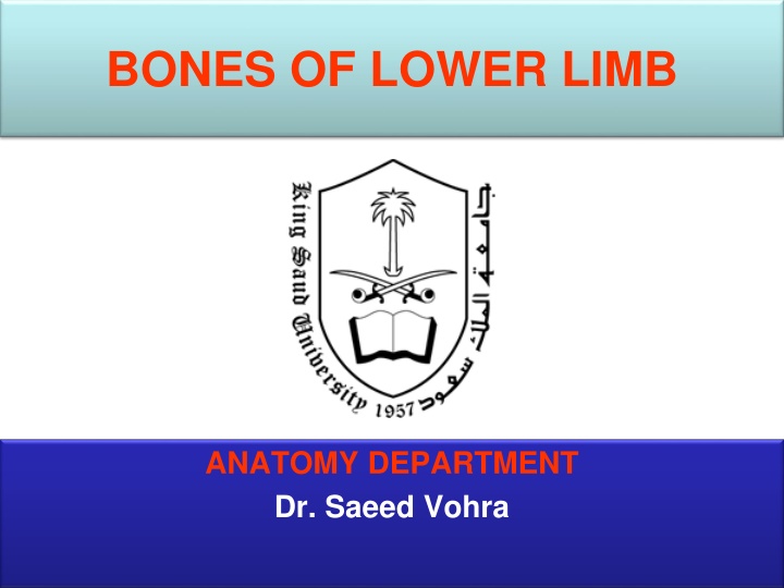 bones of lower limb n.w