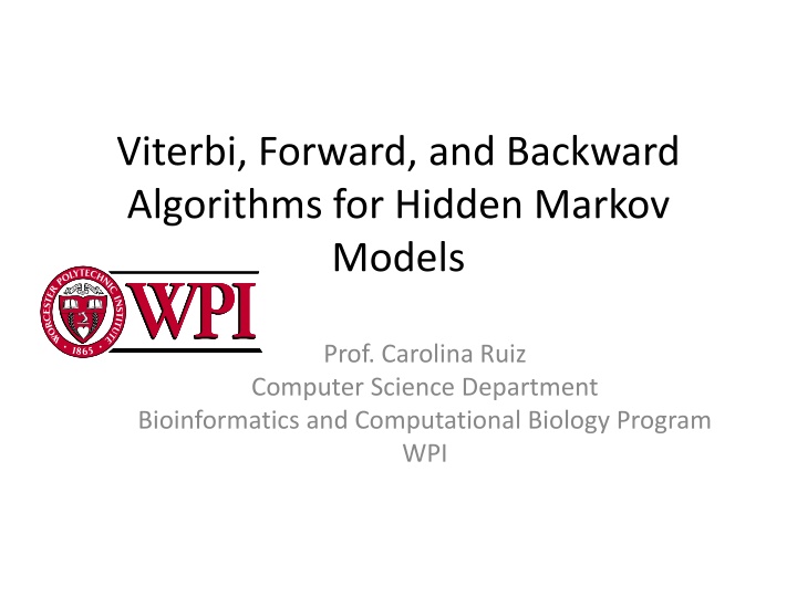 viterbi forward and backward algorithms n.w
