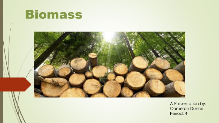 biomass n.w
