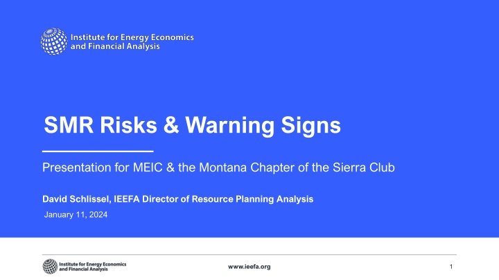 Risks and Warning Signs of Small Modular Reactors (SMRs)