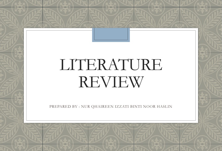 literature review n.w