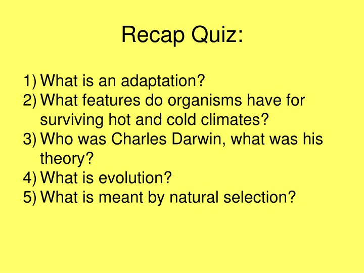 recap quiz n.w