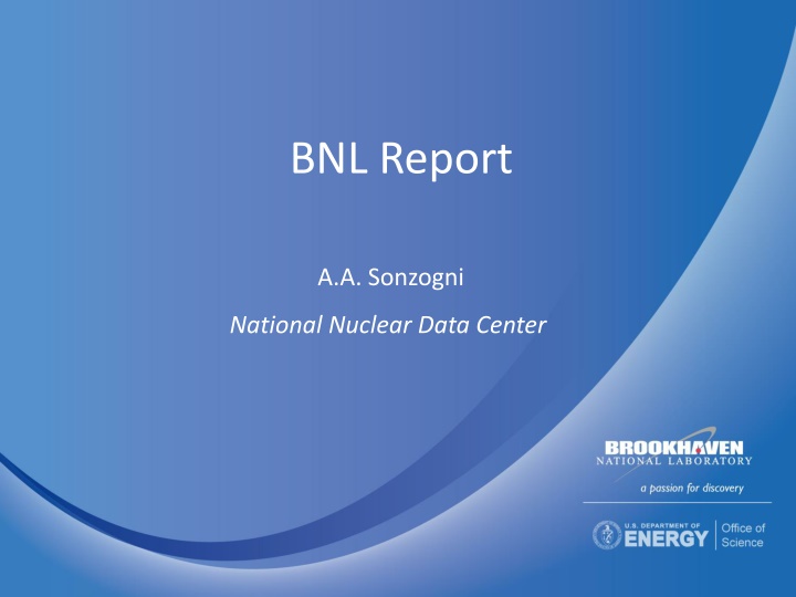 bnl report n.w