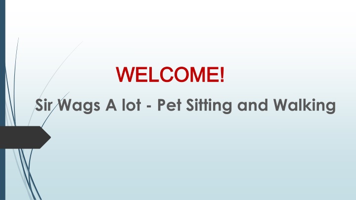 Best Private Dog Walking in Studio Village