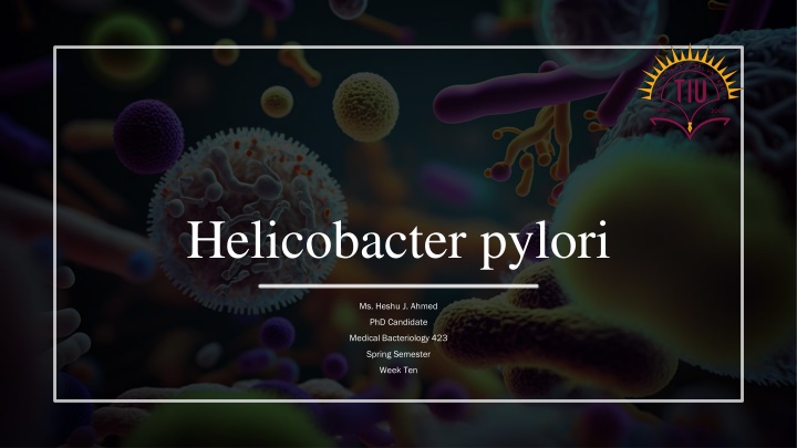 helicobacter pylori n.w