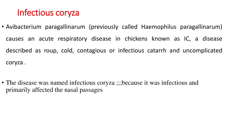 infectious coryza infectious coryza n.w