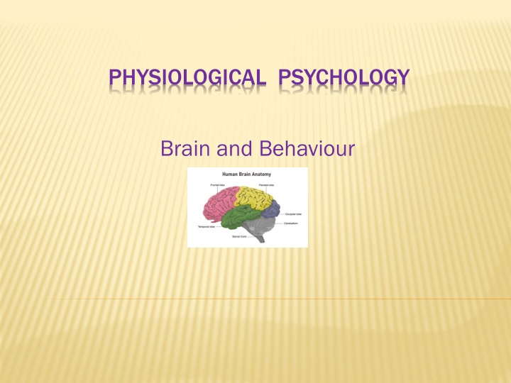 physiological psychology n.w