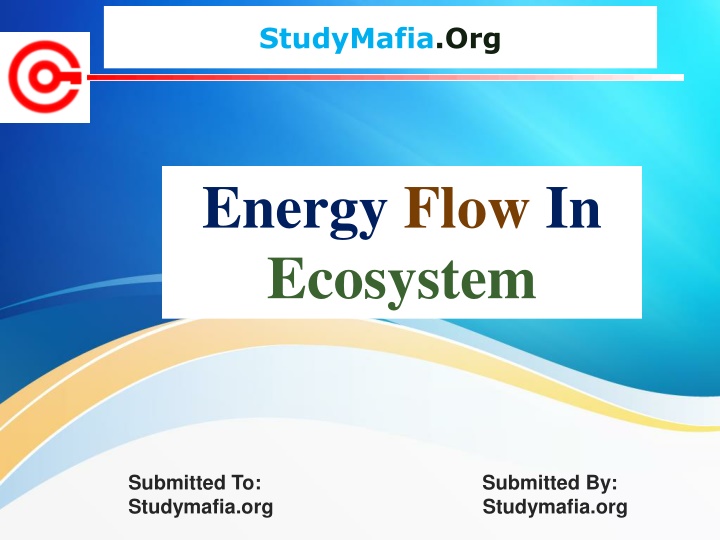 studymafia org n.w