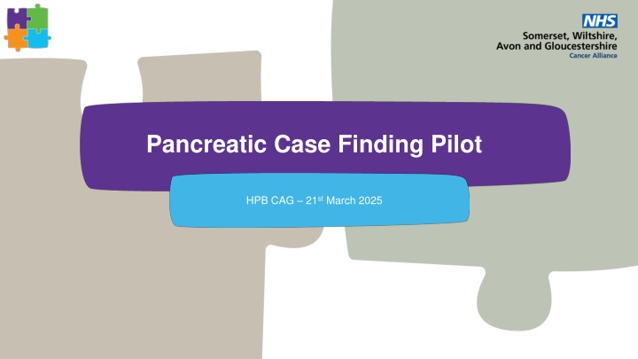 pancreatic case finding pilot n.w