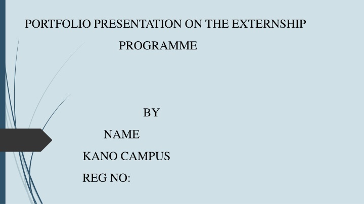 portfolio presentation on the externship n.w