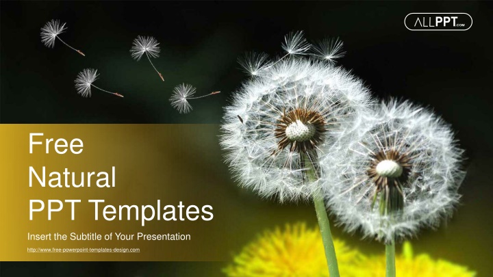 free natural ppt templates insert the subtitle n.w