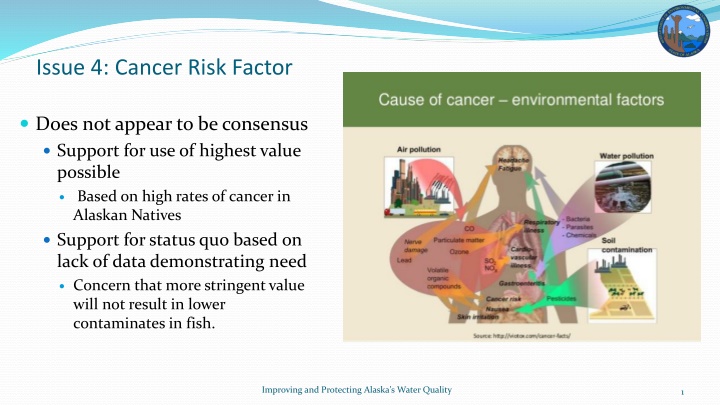 issue 4 cancer risk factor n.w