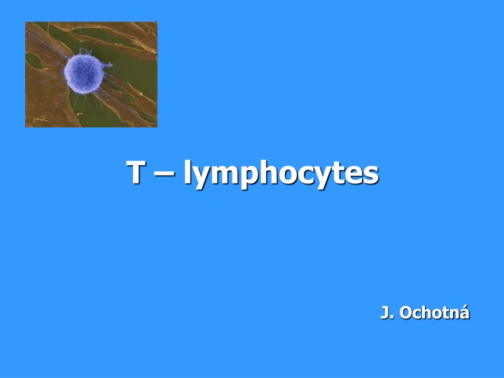 t lymphocytes n.w