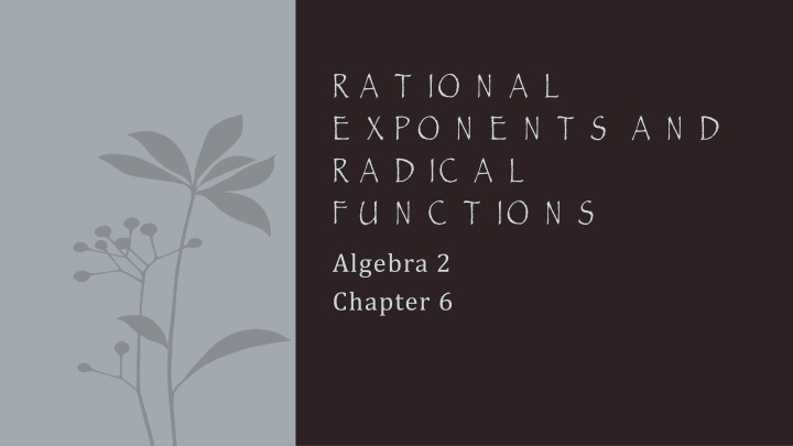 Rational Exponents and Radical Functions