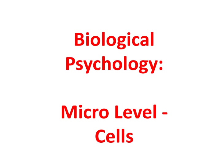 biological psychology n.w