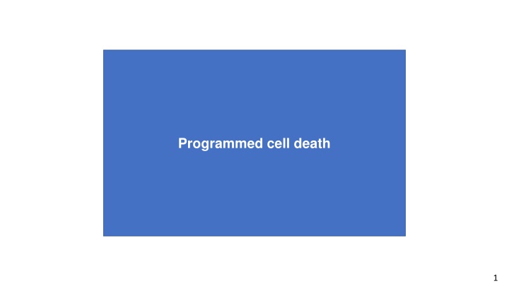 programmed cell death n.w