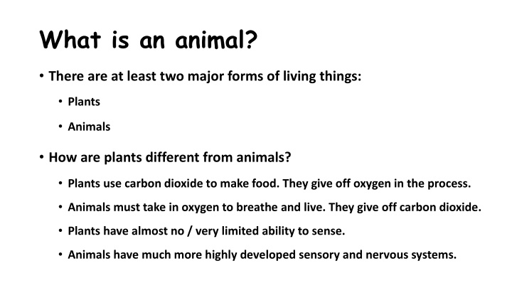 what is an animal n.w