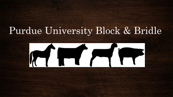 purdue university block bridle n.w