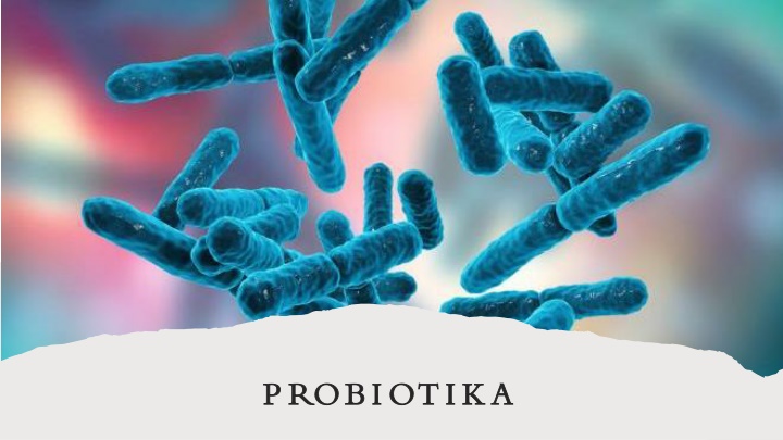 p robiotika p robiotika n.w