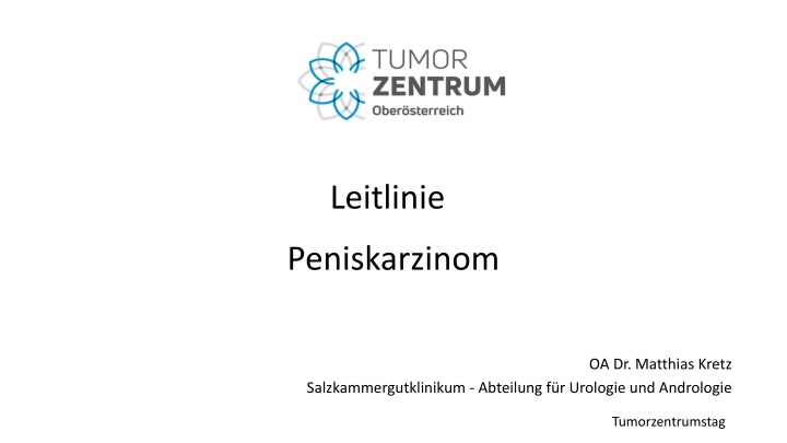 leitlinie n.w