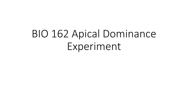 bio 162 apical dominance experiment n.w
