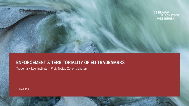 enforcement territoriality of eu trademarks n.w
