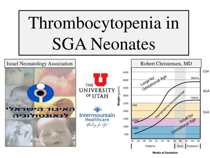 thrombocytopenia in sga neonates n.w