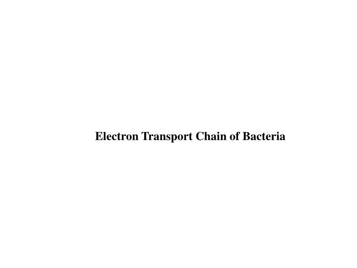 electron transport chain of bacteria n.w
