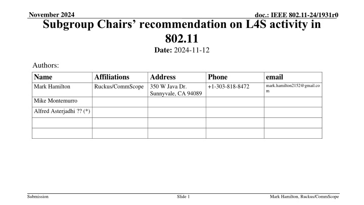 november 2024 subgroup chairs recommendation n.w