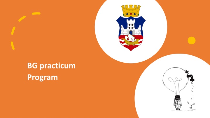 bg practicum program n.w