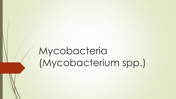 mycobacteria mycobacterium spp n.w