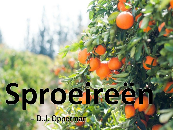 sproeire n d j opperman n.w